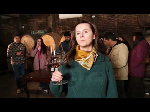 Between Vines, Flavors, and Glasses - S1E1
