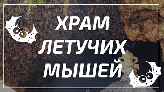 Храм летучих мышей на Бали Гоа Лава