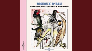 Foulque macroule, pt. 1 (Coot) screenshot 2