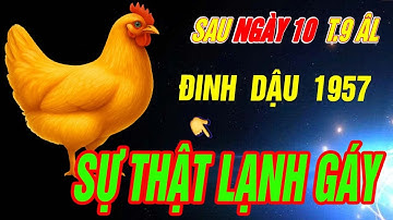 SỰ THẬT LẠNH GÁY Tuổi ĐINH DẬU 1957 đúng từ sau ngày 10 Tháng 9 âm 2025 CHƯA TỪNG TIẾT LỘ