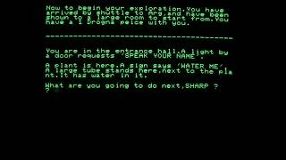 [Playthrough] The Adventure Game for the Sharp MZ-80A