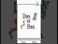 “DNA vs RNA 😳 | Don’t Confuse These Again”