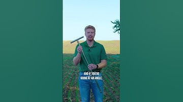 Here are the steps to take a proper soil sample.