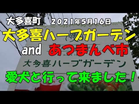 大多喜ハーブガーデン あつまんべ市 愛犬と行って来た Youtube