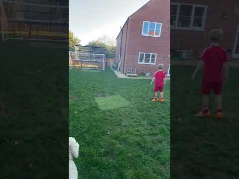 Southampton Academy Goal of the Month (Goal B November) recreation by Jacob Pearn
