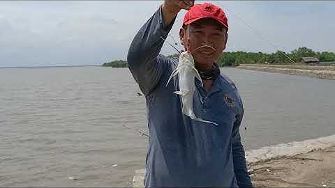 Điểm câu cá bãi đá Lý Nhơn huyện Cần Giờ | Sông Nước Cần Giờ - Châu Huỳnh.
