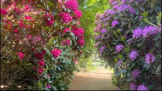 Temple Gardens | Explosion of Colour | Steeped in History | Heaven for Wildlife #zebascorner #nature