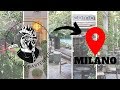 5 COCKTAIL BAR A MILANO Con GIARDINO 5 COCKTAIL BAR A MILANO Con GIARDINO