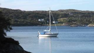 Download Lagu North Minch Dolphins MP3 Download Lagu North Minch Dolphins MP3
