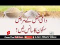 Daimi Qabz Kay Mareez Sakon Ka Sans Lain Daimi Qabz Kay Mareez Sakon Ka Sans Lain