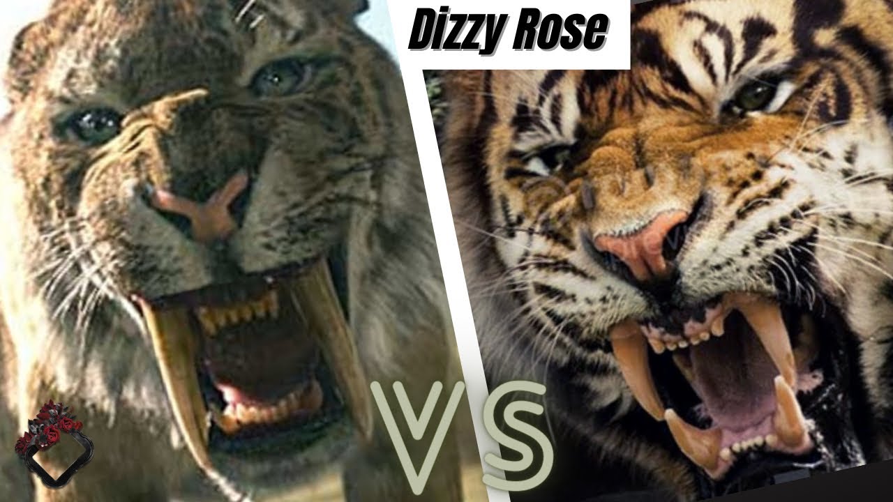 Smilodon Populator vs Ngandong Tiger 2022 - YouTube