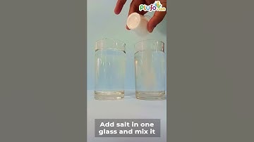 Normal and Saltwater density - Science Experiment