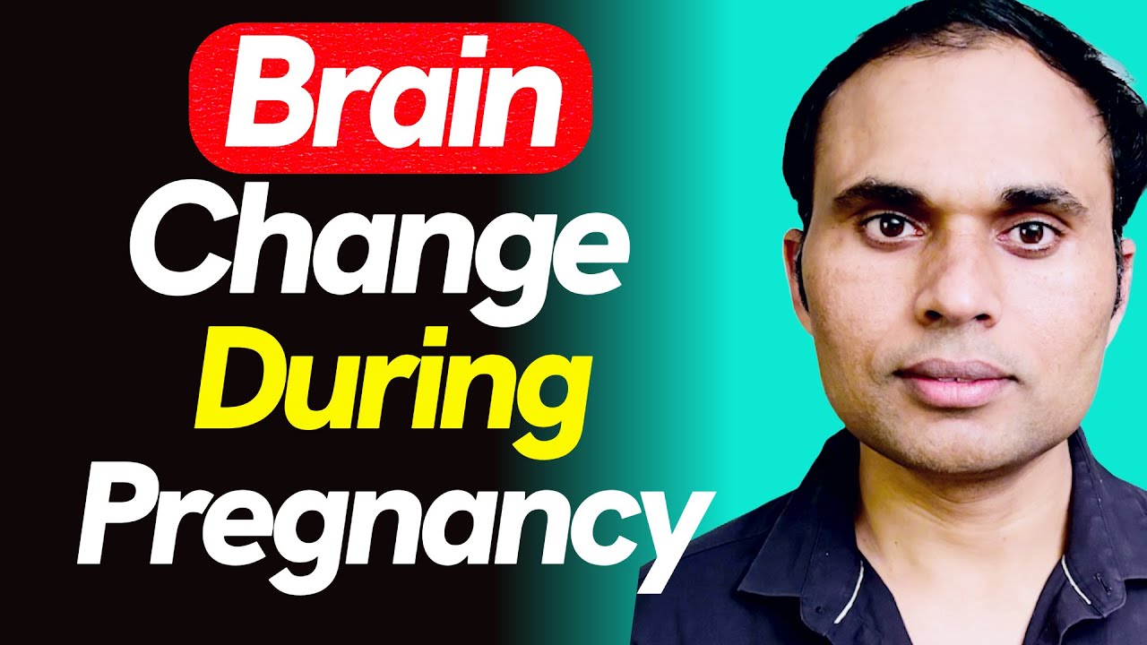 How does the Female Brain Change During Pregnancy ? - YouTube