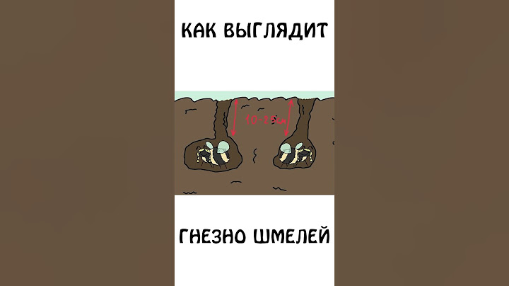 А вы знали, как выглядит гнездо Шмелей ?  #академияброкколи #shorts #шортс #животные #шмель
