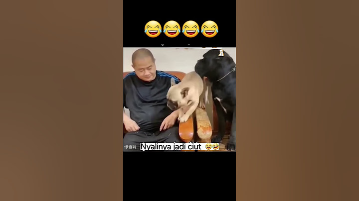 😂 sok galak  #shortvideo