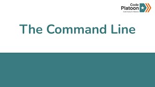 W1D1: The Command Line
