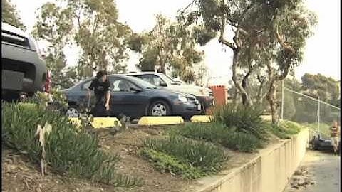 REWIND: ZERO "NEW BLOOD" FOOTY TAPE 2005