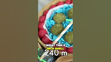 Unveiling the Explosive Power Behind Shell Fireworks