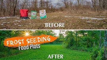 Frost Seeding Food Plots