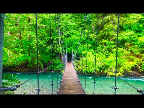 Videó: 11 Kép Bizonyítja, Hogy A Mount Rainier Nemzeti Park Alábecsülte