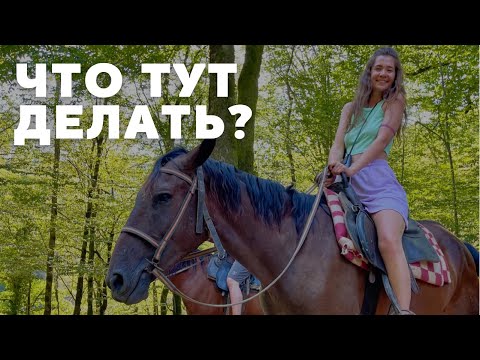 Сочи Конная прогулка| Самшитовый лес| Лето 2022| Цены на экскурсию