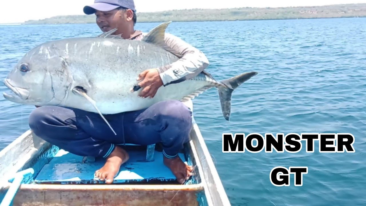 LUAR BIASA!!DETIK-DETIK MENEGANGKAN,DAPAT SAMBARAN MONSTER GIANT TRAVELLY#mancingdasaran #umpanhidup