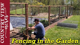 Fencing in the Vegetable Garden. Installing welded wire fence.