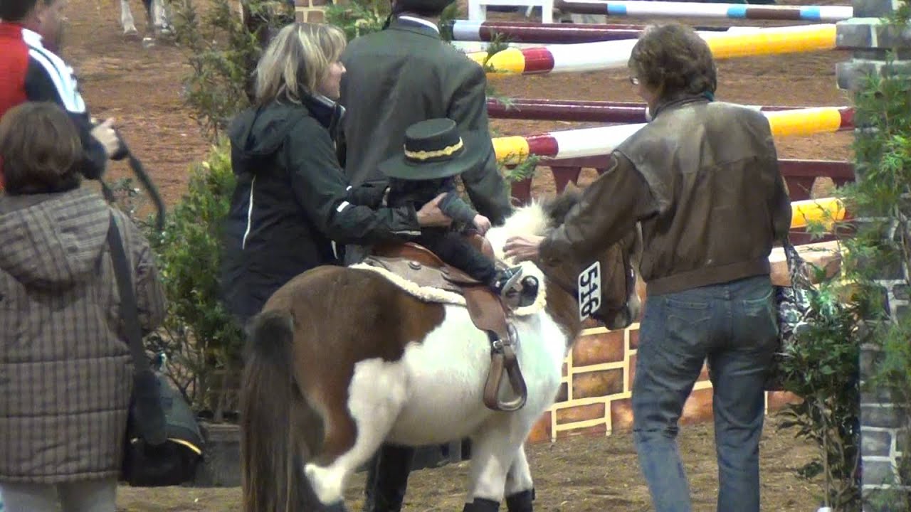 Raleigh Nov 2011, Lead Line Horse Show, Hollis Oliver Cardenas YouTube