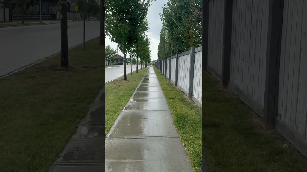 Torrential Rain 🌧️ on Canada Street | # Alberta # Canada # Rain # Spruce Grove # City August 2025