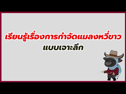 วีดีโอ: การควบคุมแมลงหวี่ขาว - เคล็ดลับในการป้องกันแมลงหวี่ขาวในบ้าน