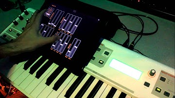 M-Audio Venom Distortion