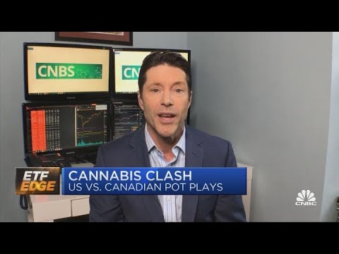 U.S. vs. Canadian cannabis stocks: Key distinctions thumbnail
