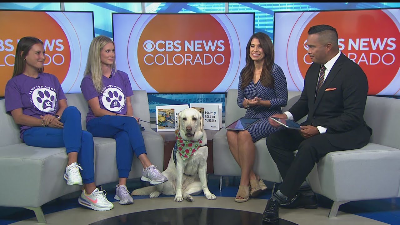 Paws for Rocky Mountain Hospital for Children helps patients through ...
