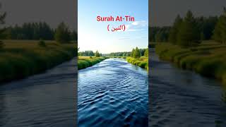 Surah At-Tin #allah #makkah #madina #rasoolallah #tawafekaba #quran #islam #deen #muslim #islamic