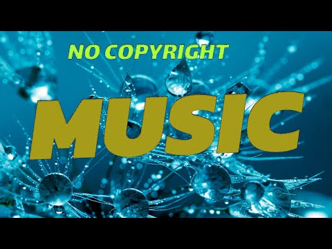 NO COPYRIGHT MUSIC 230