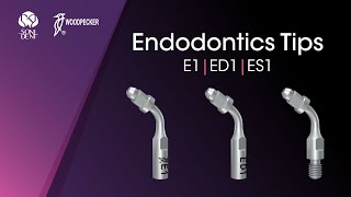 Woodpecker Endodontics Tips: E1, ED1, ES1 #woodpeckerdental #endodontics #endotips