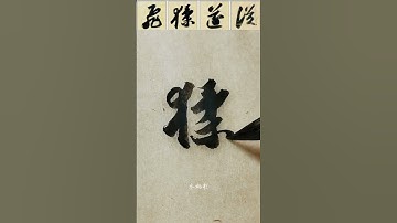 #Su shi #Su Dongpo #running script