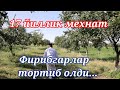 Хокимят фирибгарлари алдади. Чироқчи тумани