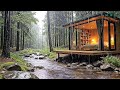 Deep Calm Rain Forest Sounds with Piano for Restful Nights