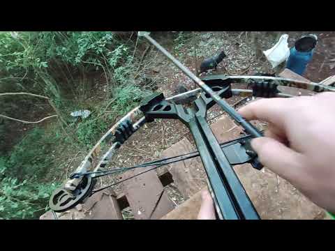 Caça com balestra/Hunting with crossbow