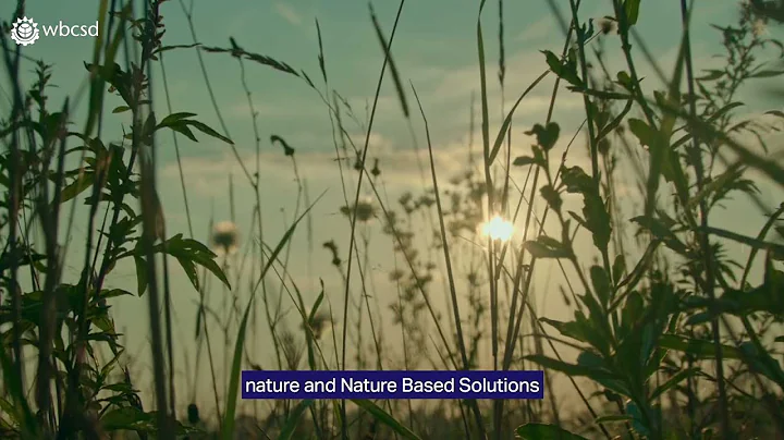 Business is ready to step up investment in nature