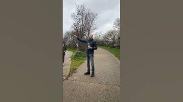 WSET Level 3 Bootcamps and Wine Education Abroad - Napa Valley Wine Academy #wset