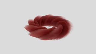 Twisted Torus