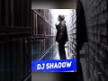 DJ Shadow - Endtroducing…  #djshadow #bestrapalbum #hiphop  #rap
