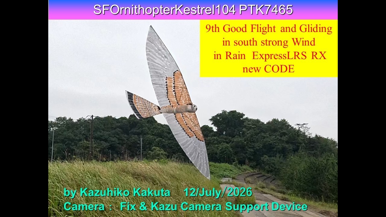 大きい羽 サーボ駆動チョウゲンボウ型羽ばたき機 SFOKestrel104PTK7465 45g