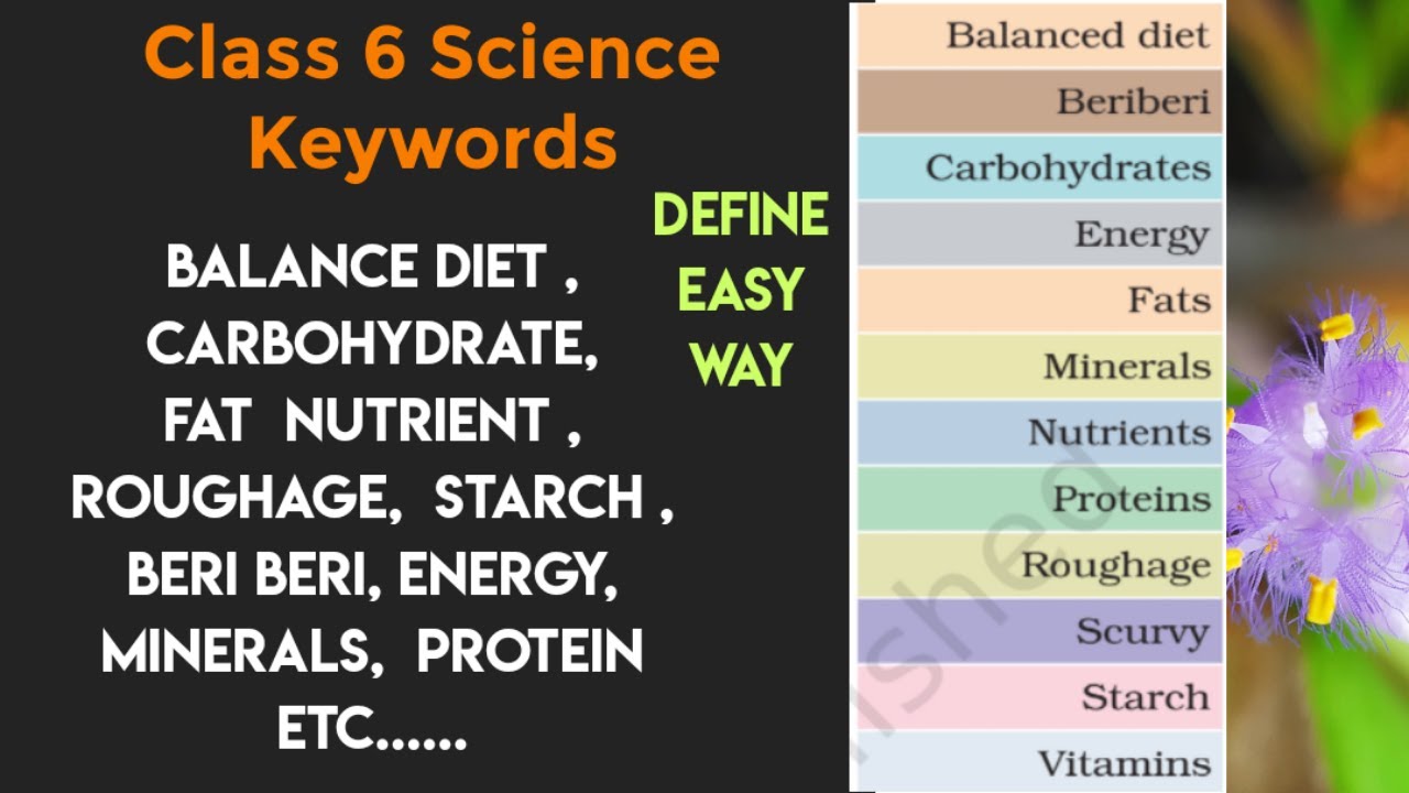 Class 6 NCERT Science Chapter 2 Keywords definition , Easy defined ...
