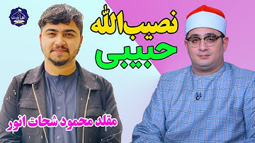تلاوت زیبای قاری نصیب الله حبیبی | مقلد محمود شحات انور | سوره های انسان و کوثر