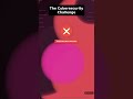 AI for Cybersecurity #Shorts