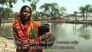 Adapting to Salinity - Environmental Policy in an International Context (3/11)