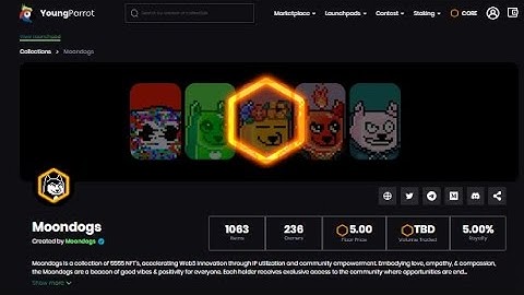 How to import your minted Moondogs NFT collection into MetaMask wallet on Core Network